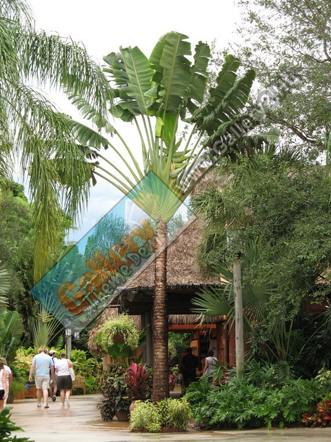 Discovery Cove