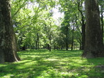 A beautiful park in Budapest