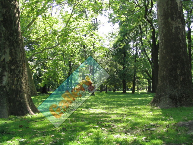 A beautiful park in Budapest